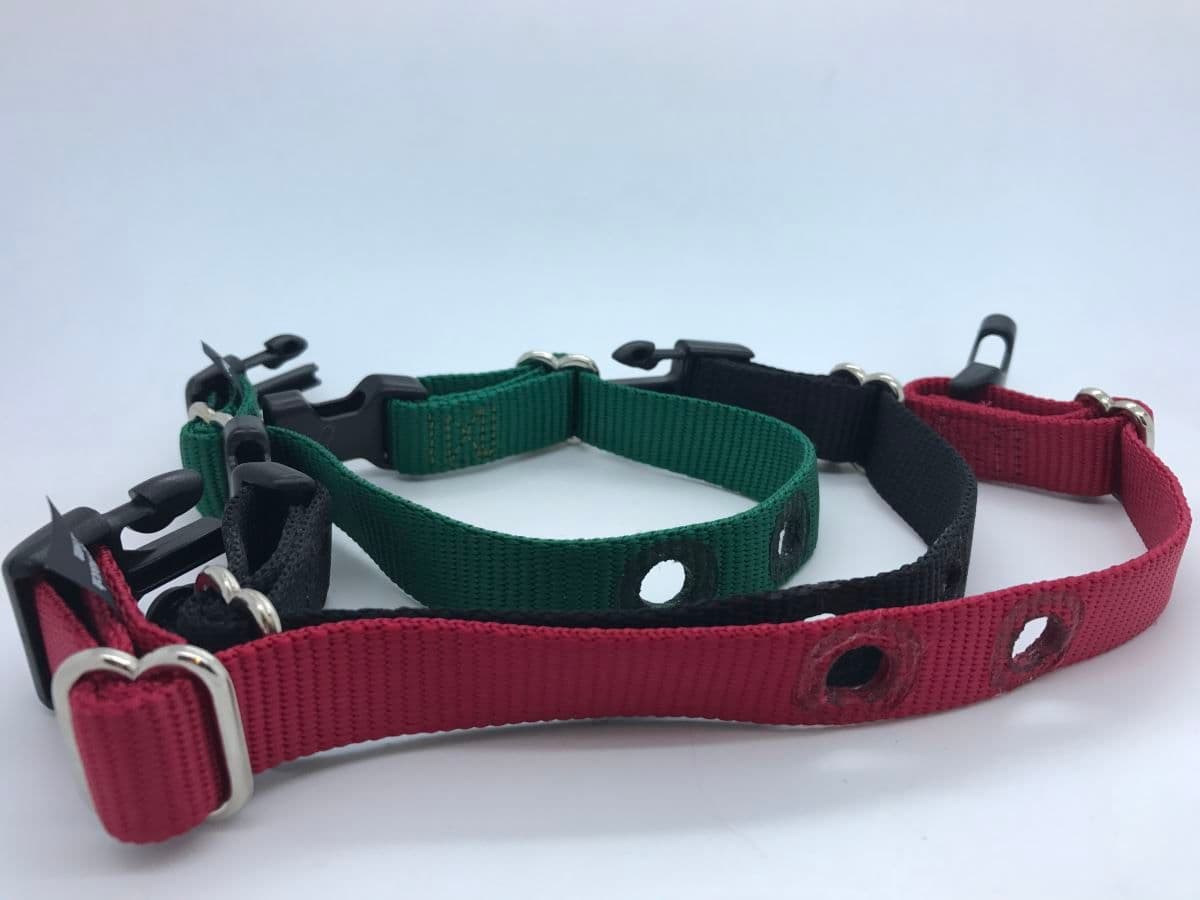 DogFece Strap for DogWatch receiver Collar (Cats)